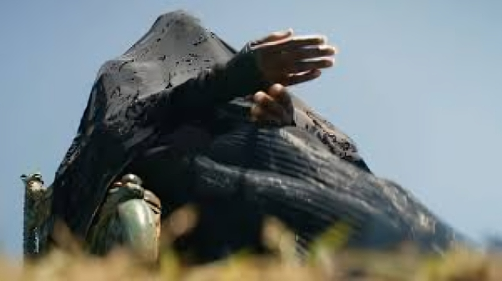 The Woman in the Yard